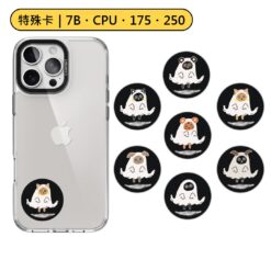特殊卡｜漂浮幽靈 7B 7字節 175KHZ 250KHZ 300KHZ HID 5577